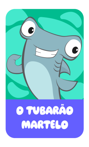BANNER-TUBARAO-MARTELO