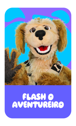 FLASH, O AVENTUREIRO - ZOOMOO KIDS